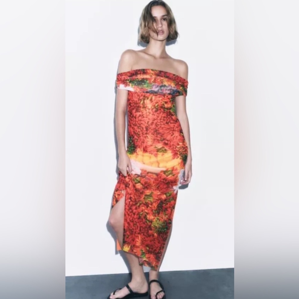 NWT Zara midi floral tulle Dress
